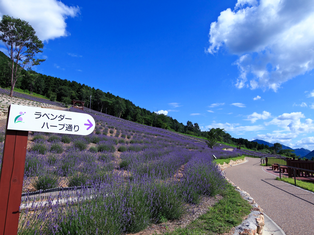 ラベンダーパーク多可(多可町)