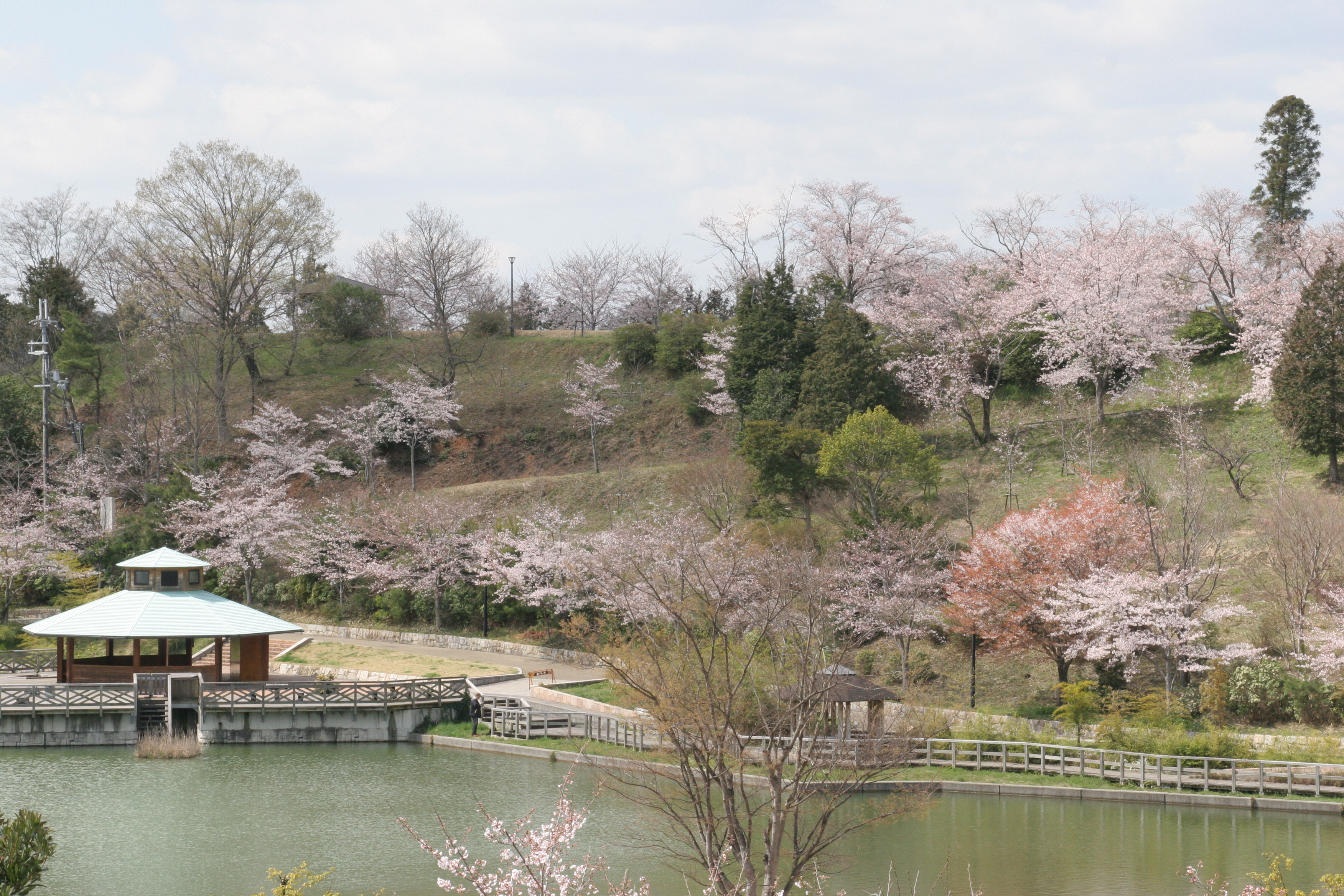 丸山総合公園