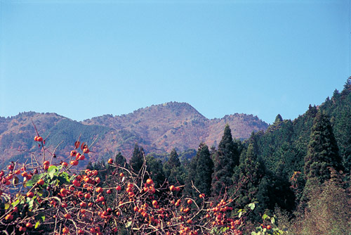 笠形山(播磨富士)