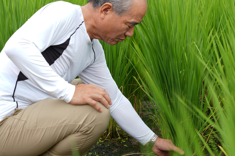 山田錦発祥のまち実行委員会 髙澤 充洋