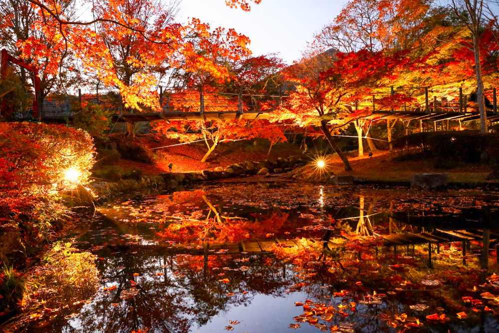 多可町余暇村公園/紅葉(多可町)