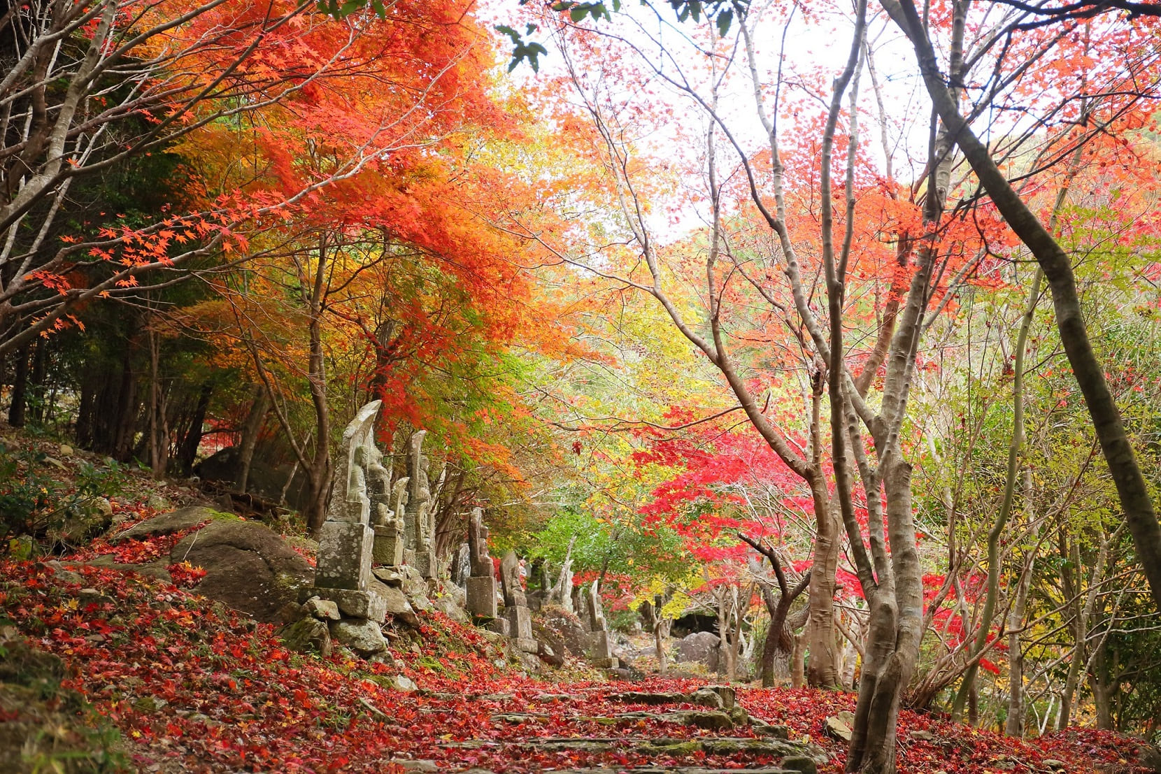 竹谷山公園