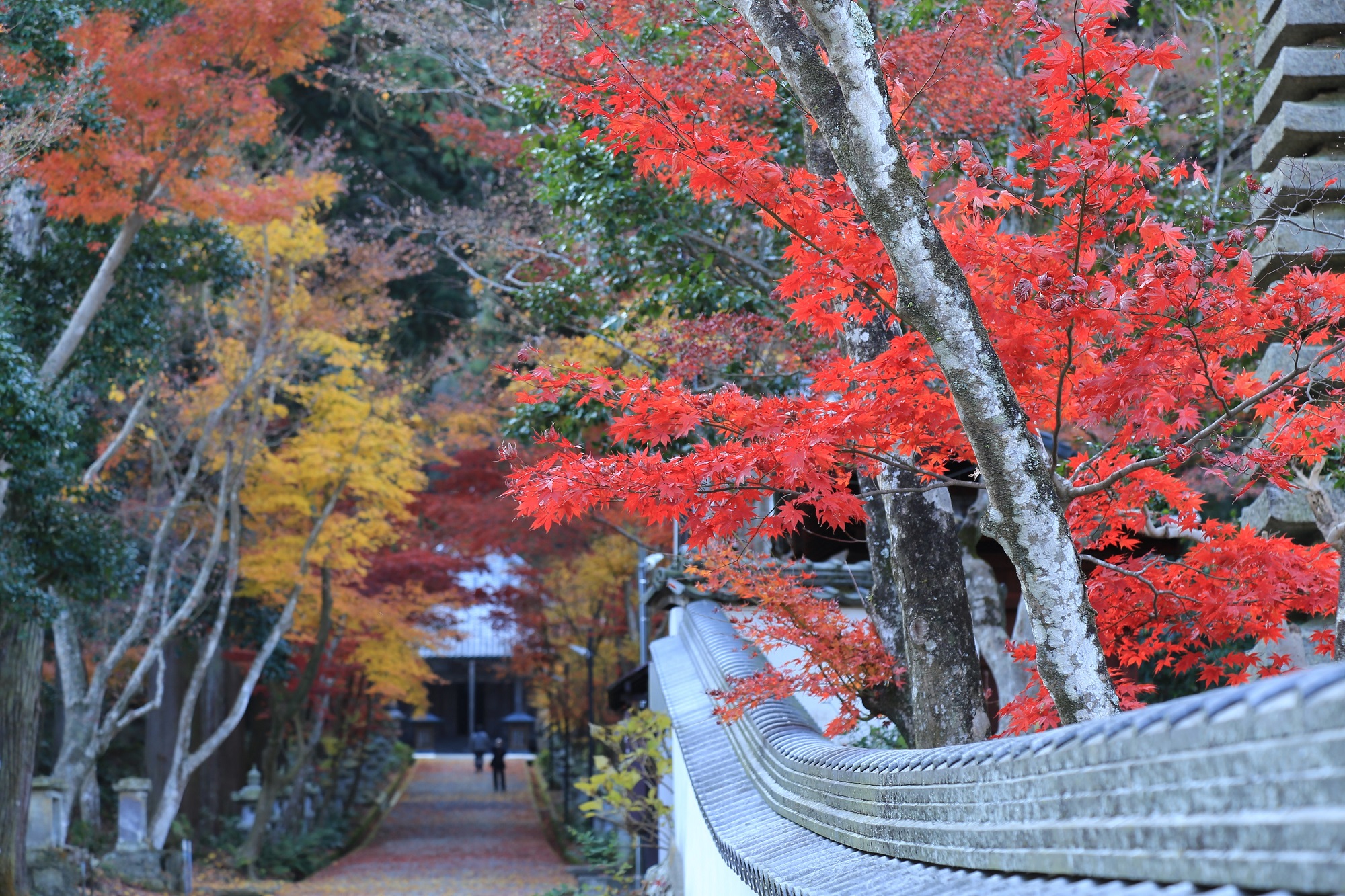 西林寺