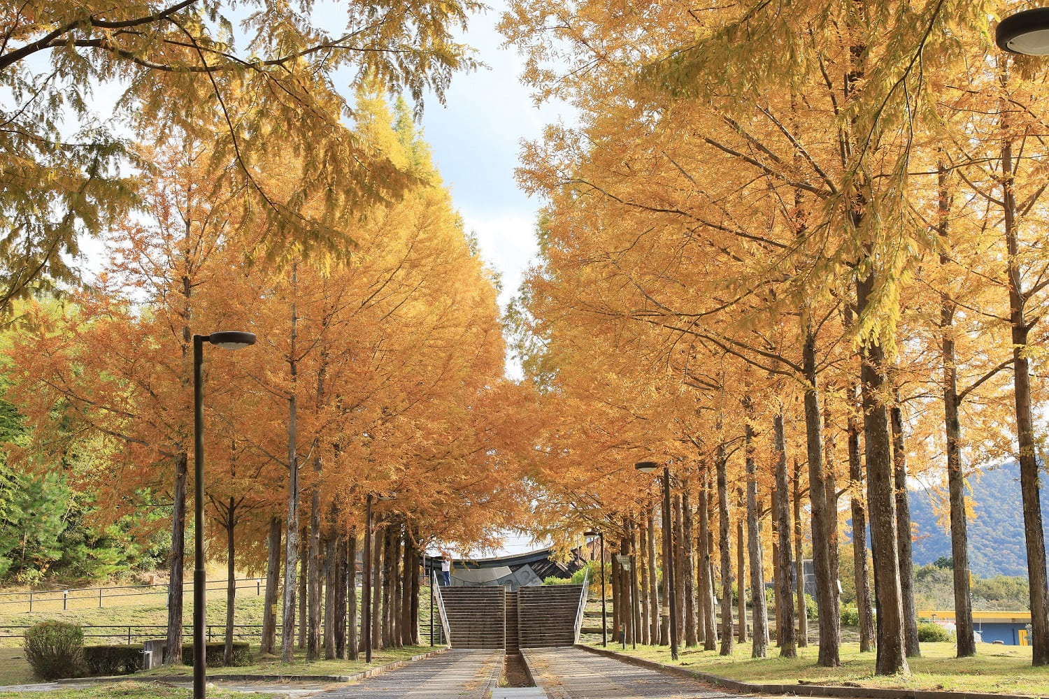 日本へそ公園