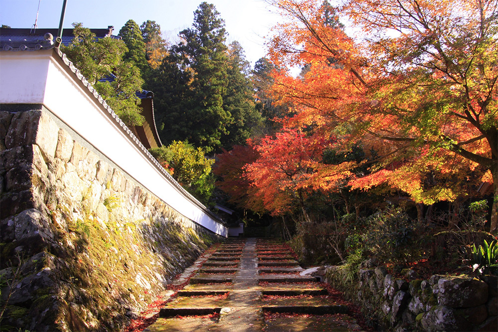 荘厳寺 