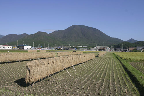 妙見山