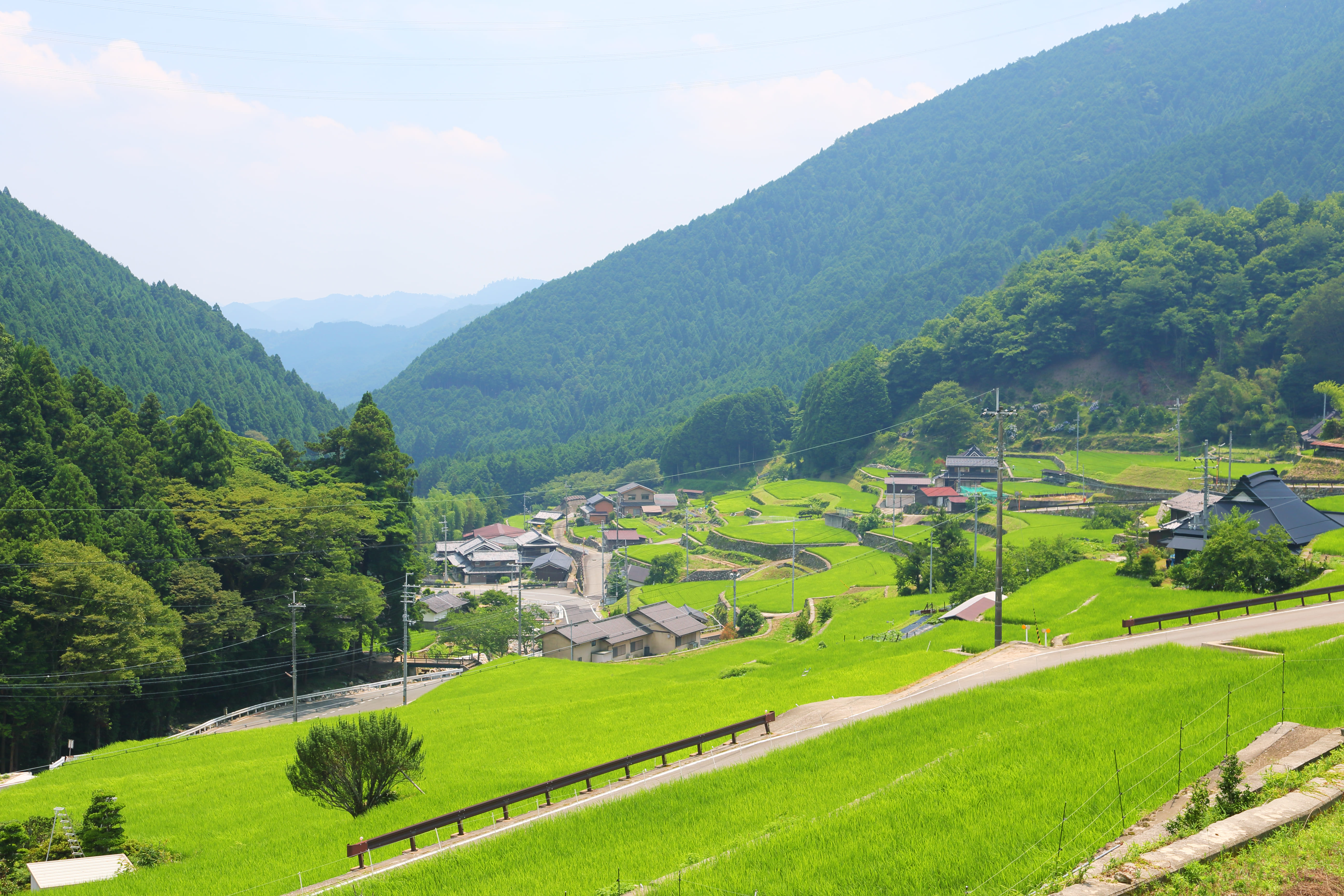 岩座神(いさりがみ)の棚田