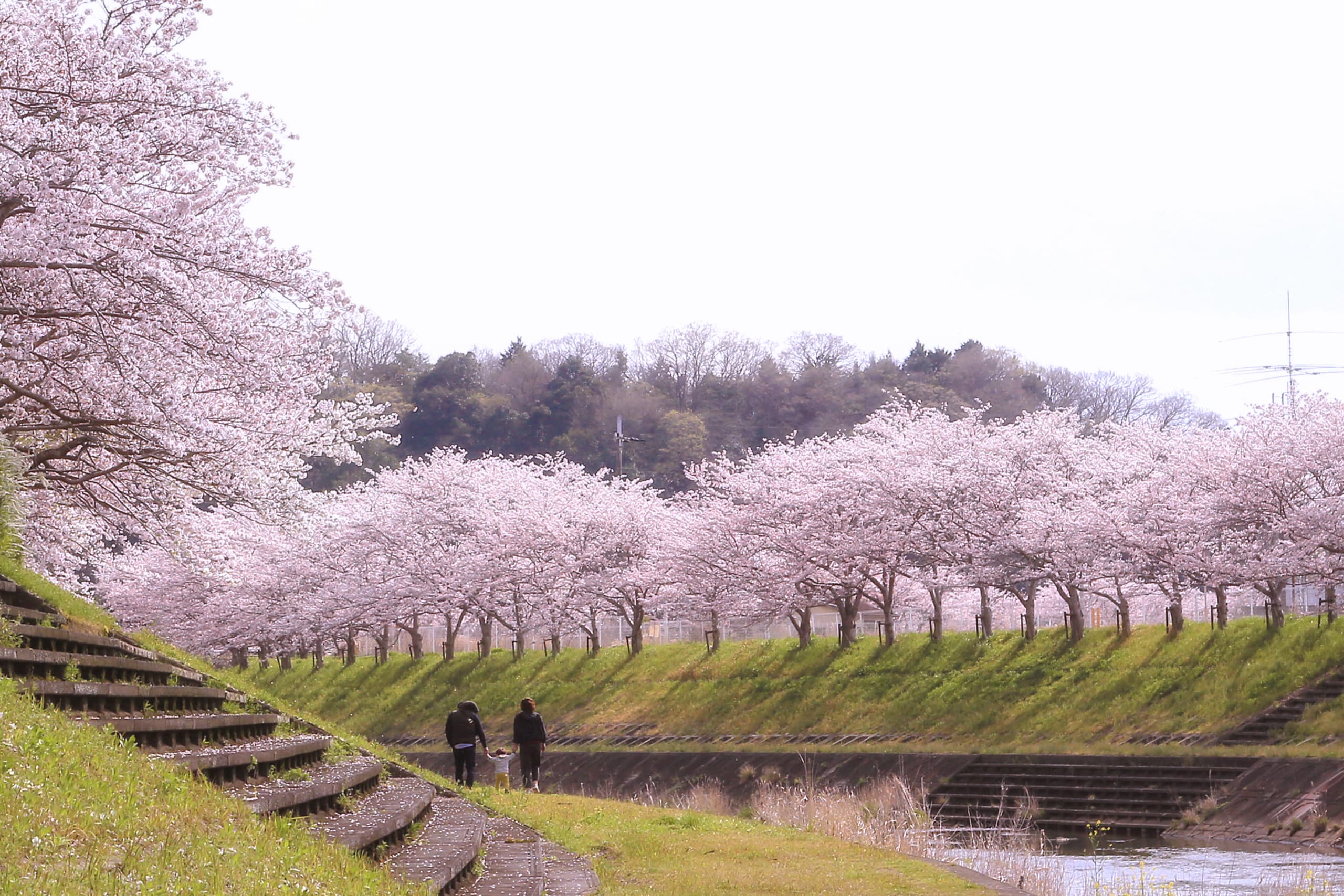 東条川