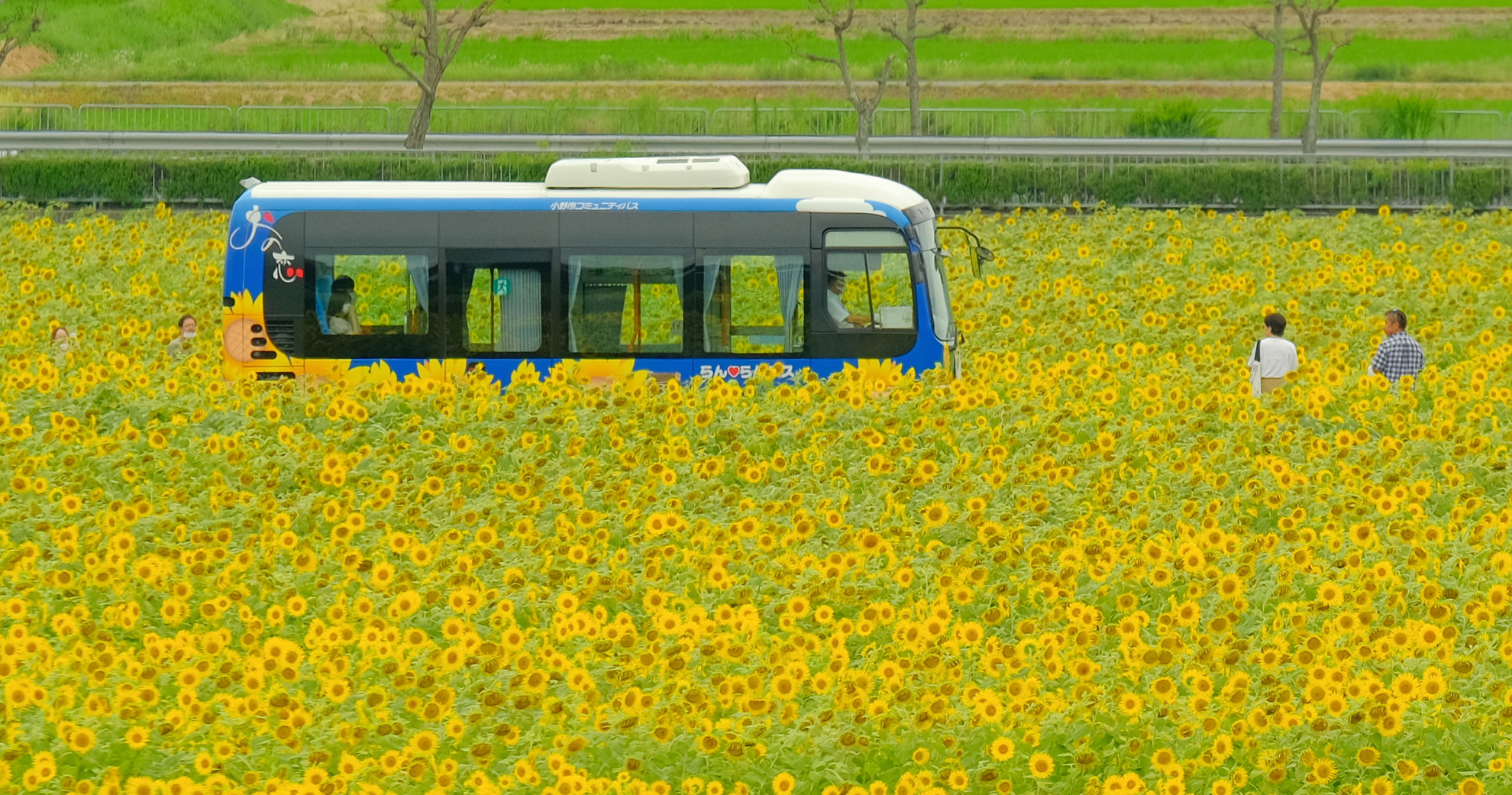 小野市/